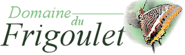 Domaine du Frigoulet