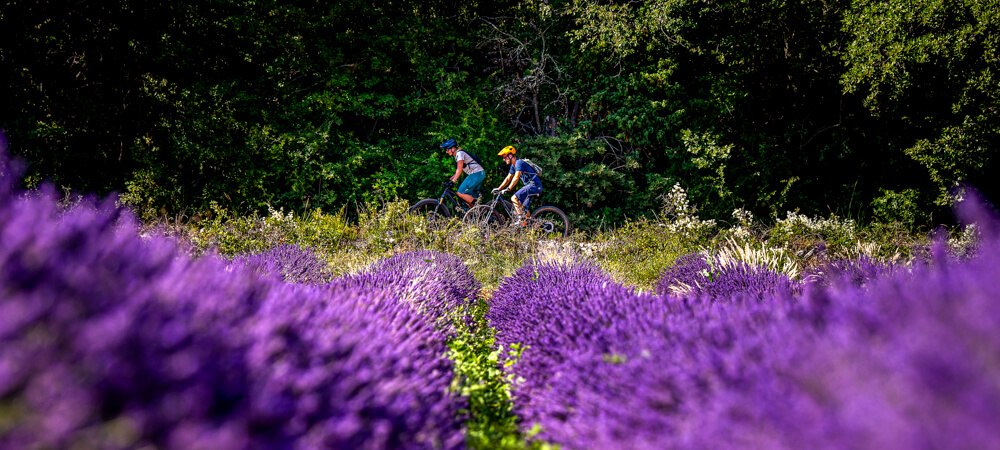 Centre de VTT dans le sud de la France - le paradis du VTT